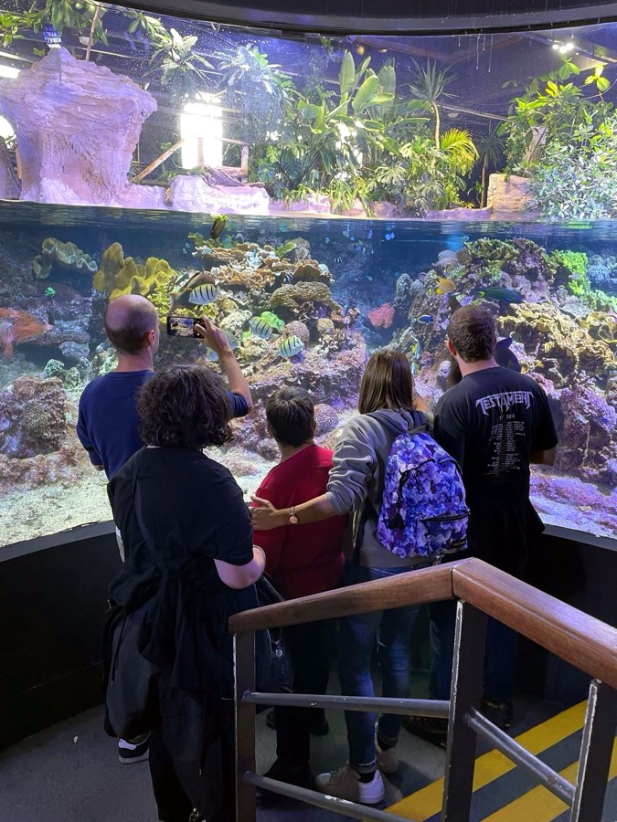 Visita all'acquario