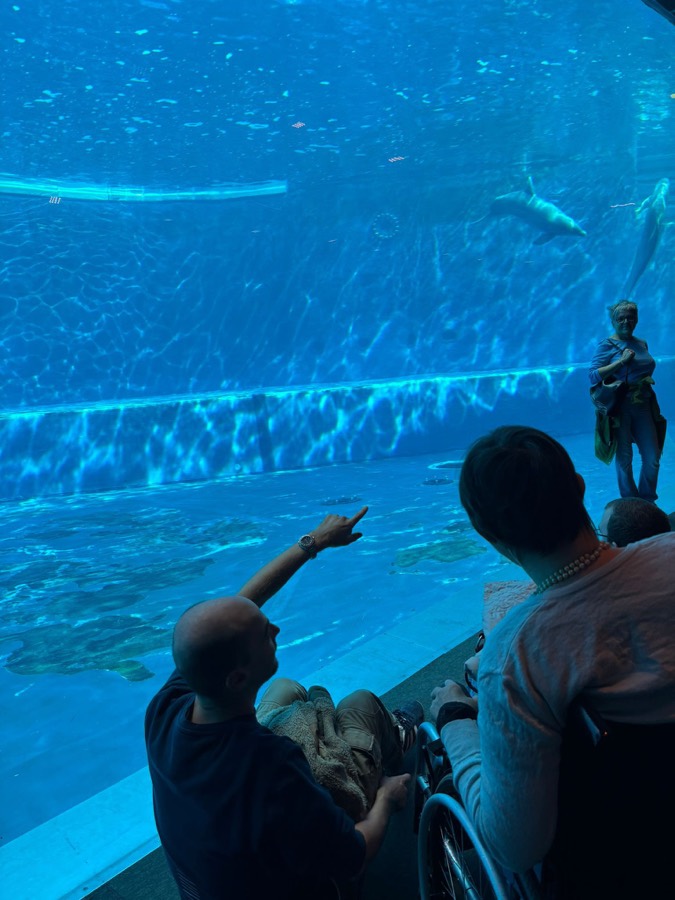Visita all'acquario
